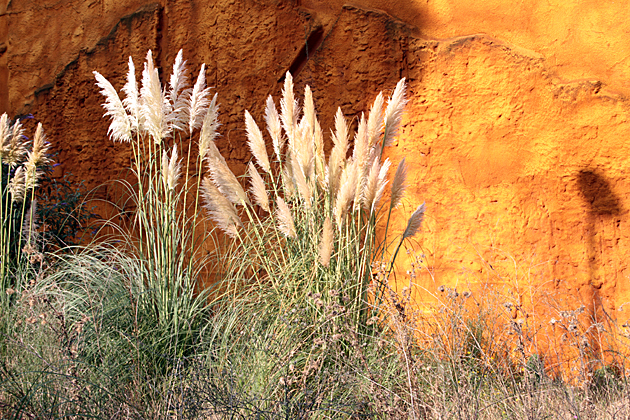 Abstract Asturias
