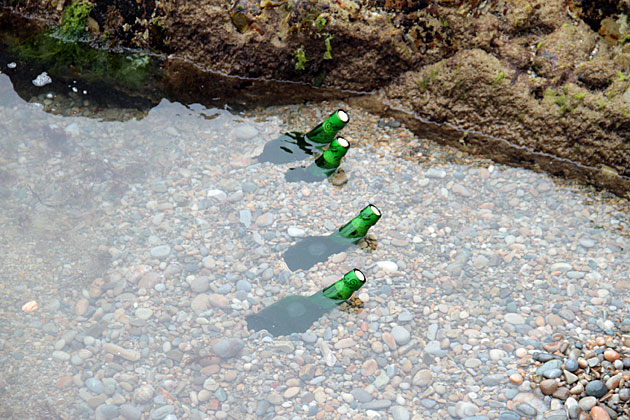 sidra-at-the-beach