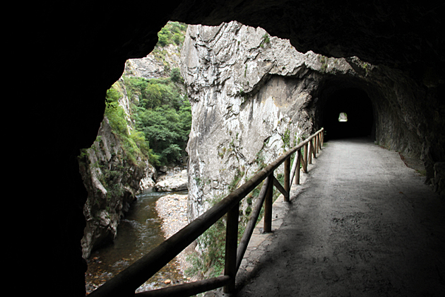 bear walk