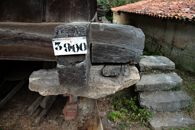 jahr asturias