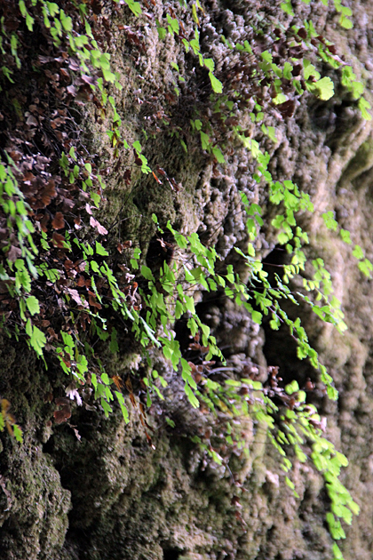 asturias nature photographer