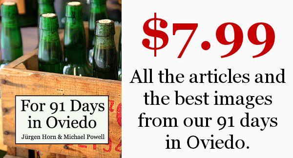 Read more about the article For 91 Days in Oviedo – The E-Book