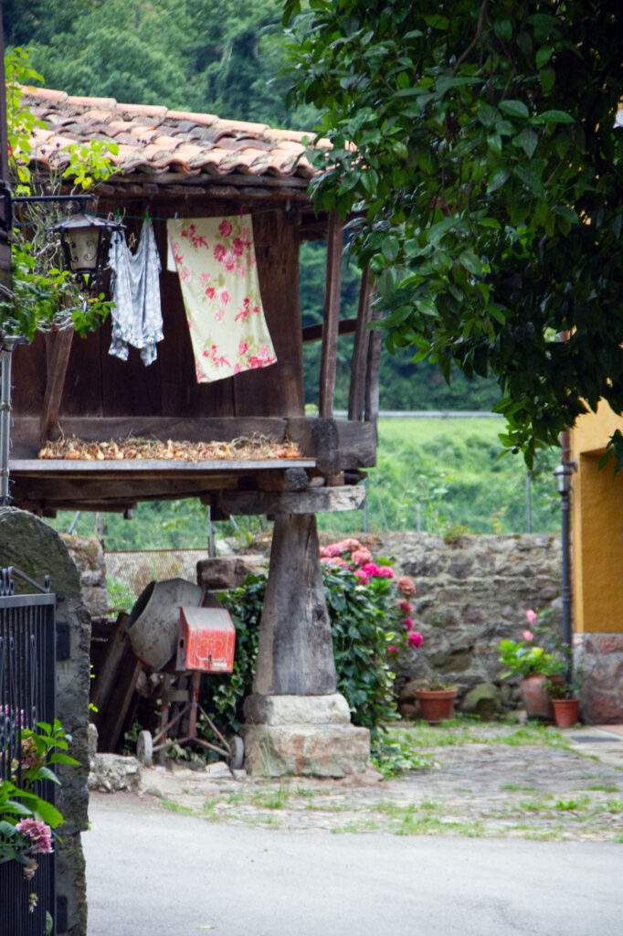 Drying Corn Asturias Old Farming House