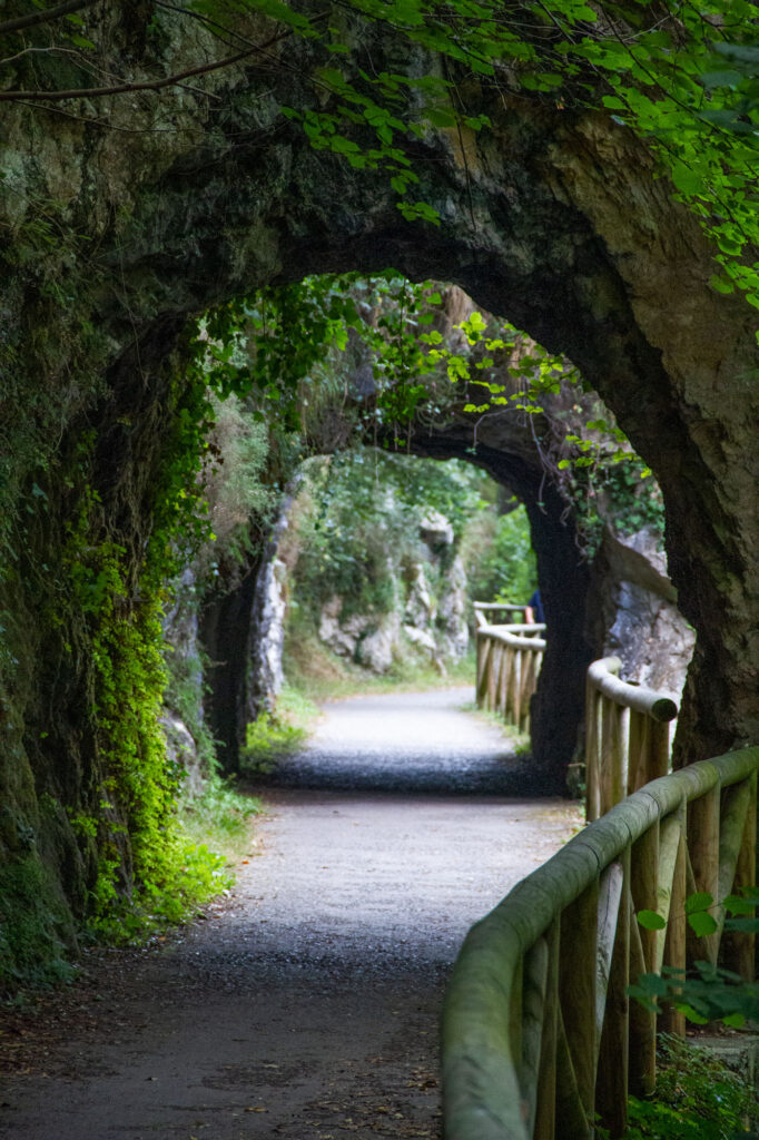 Senda del Oso Asturias