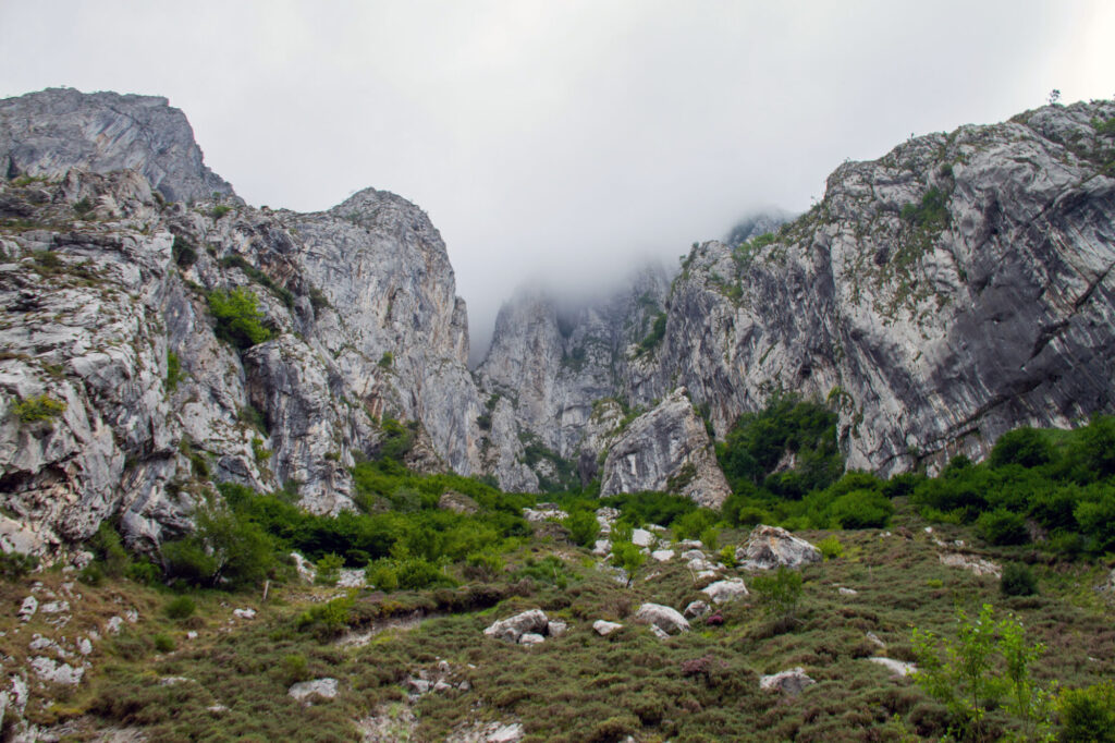 Senda del Oso Walk Asturias