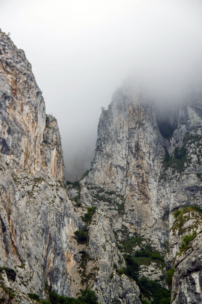 Senda del Oso Hike