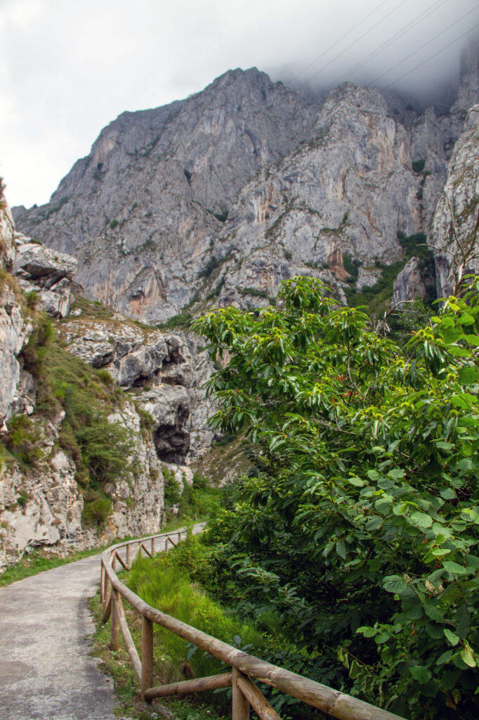 Hiking Path License Photos Asturias