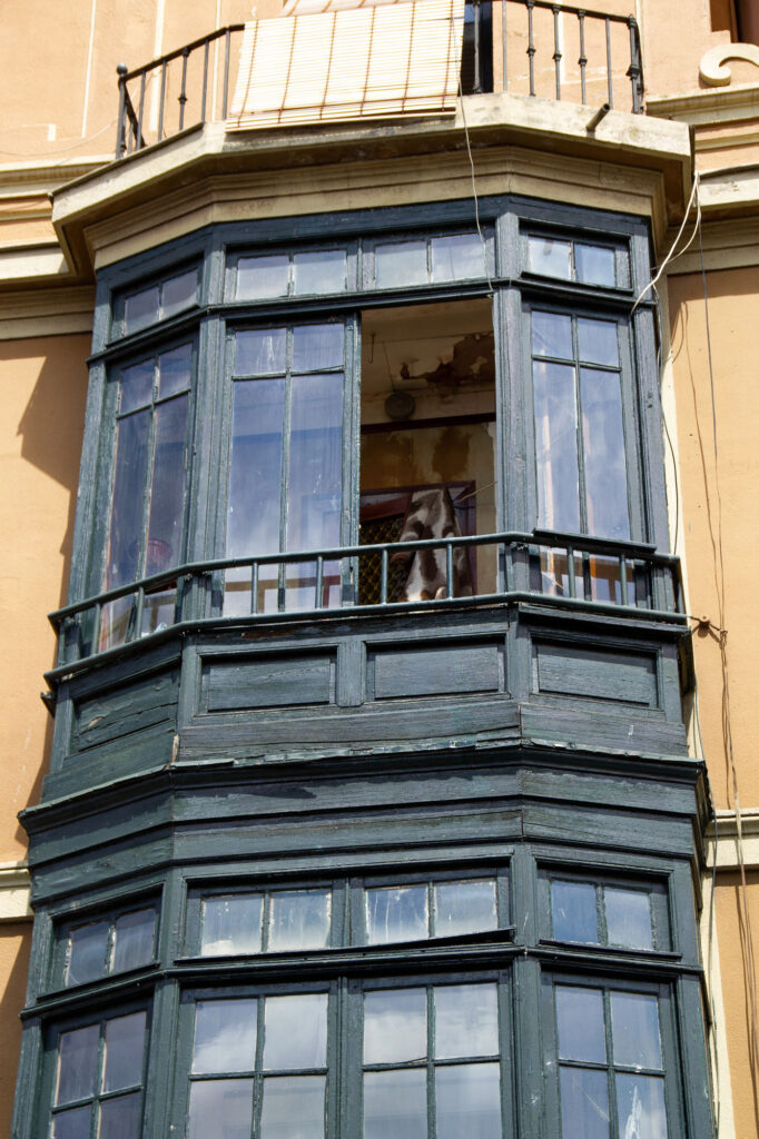 Gijon Old Houses Asturias