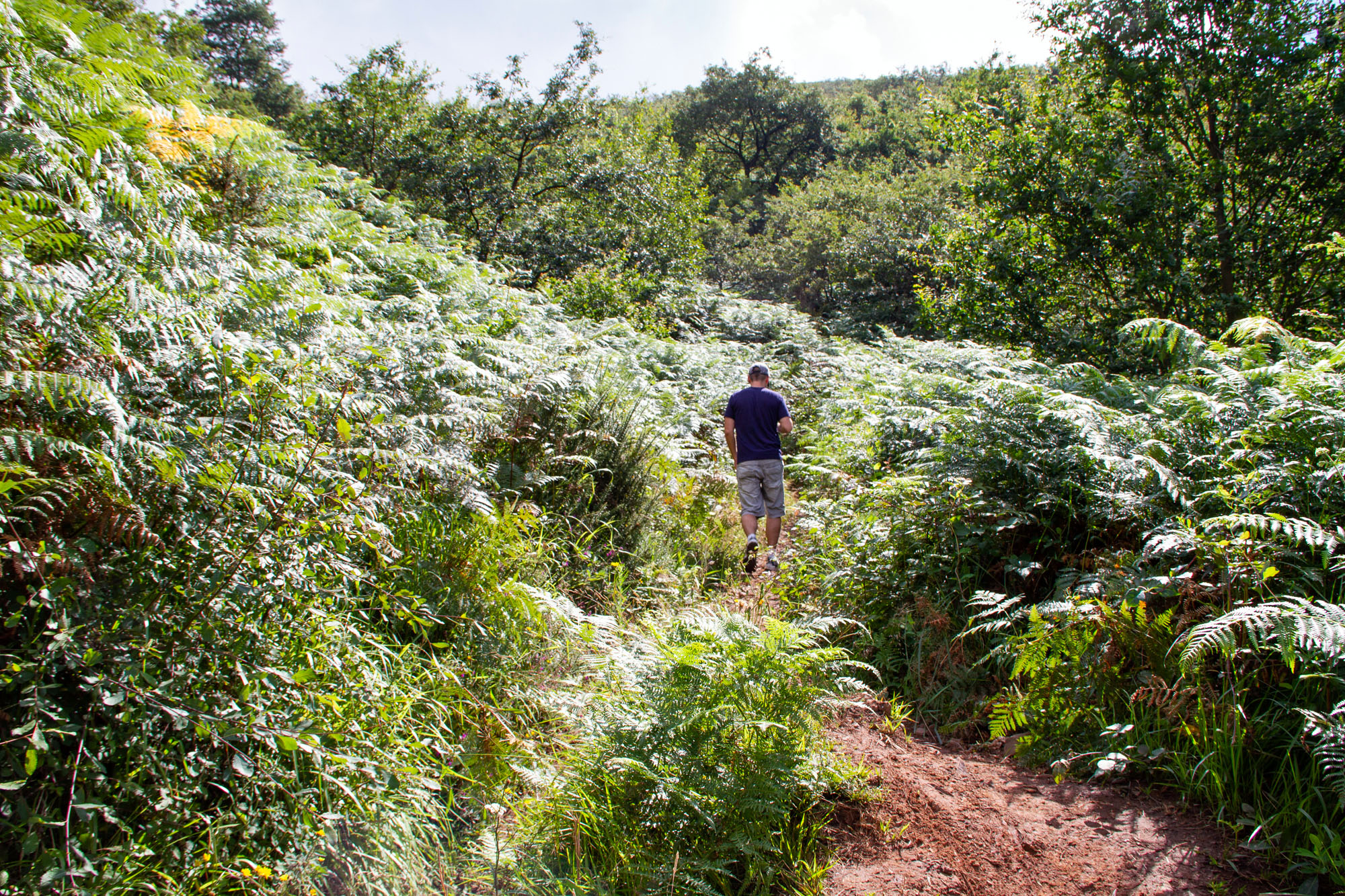 Hiking Oviedo Asturias Spain, man in nature