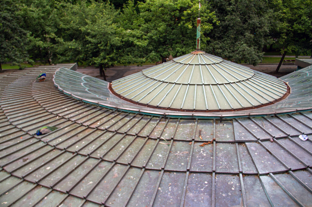 Peacock House Roof