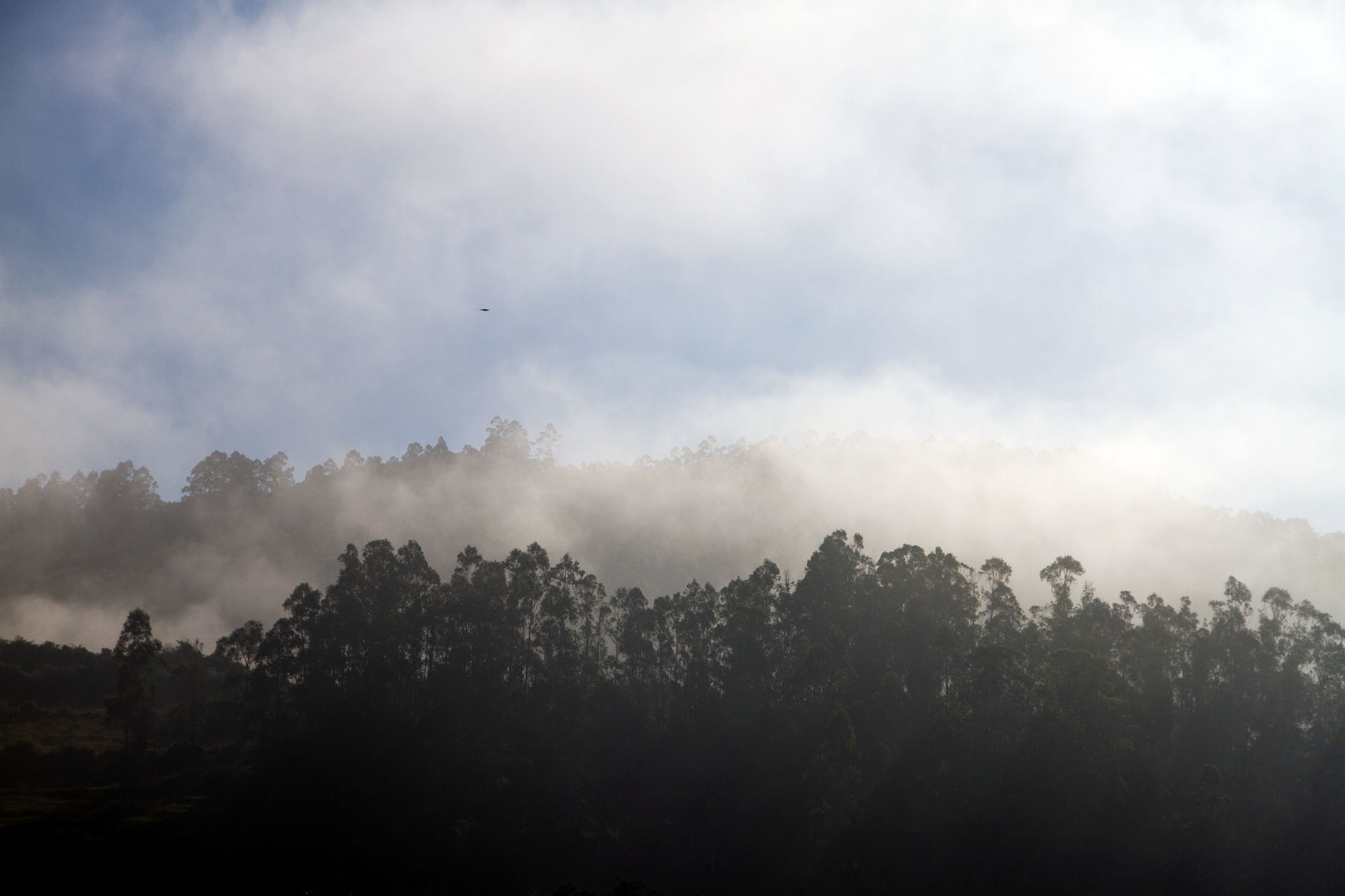 Mist over Asturias