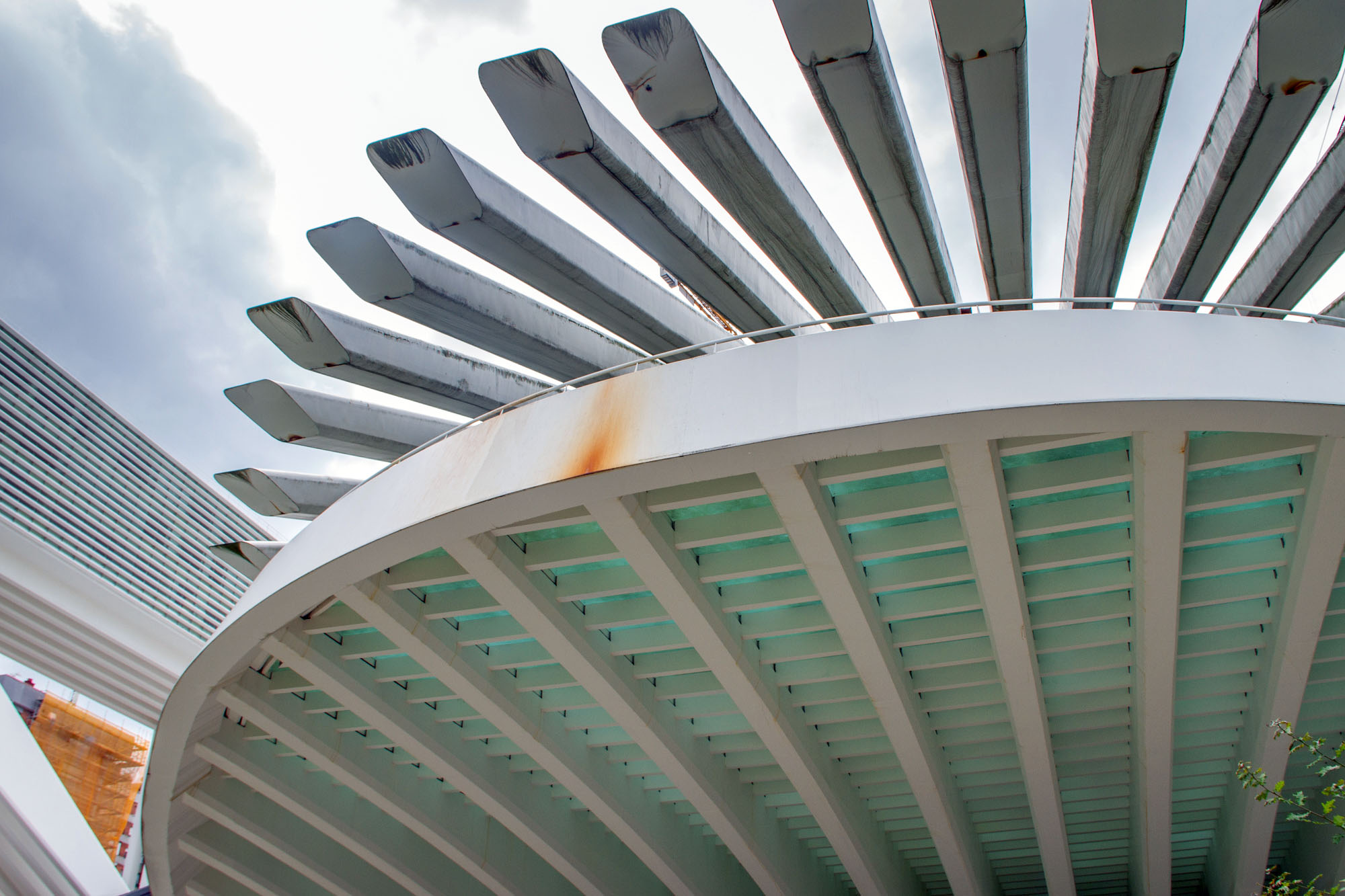 Calatrava Fan