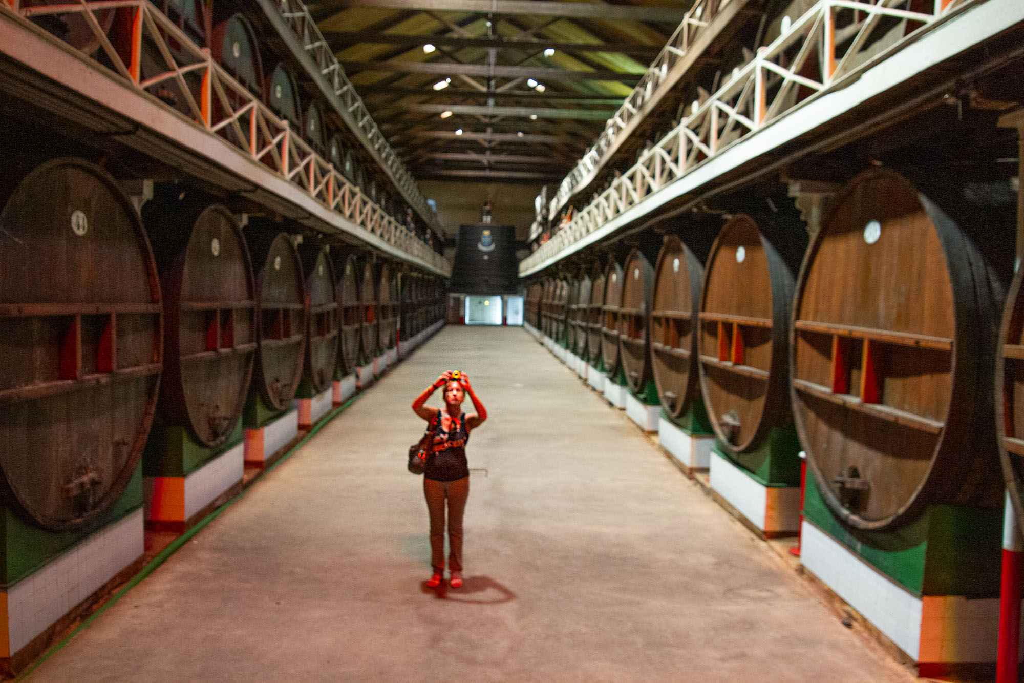 Cider Tourist in Asturias