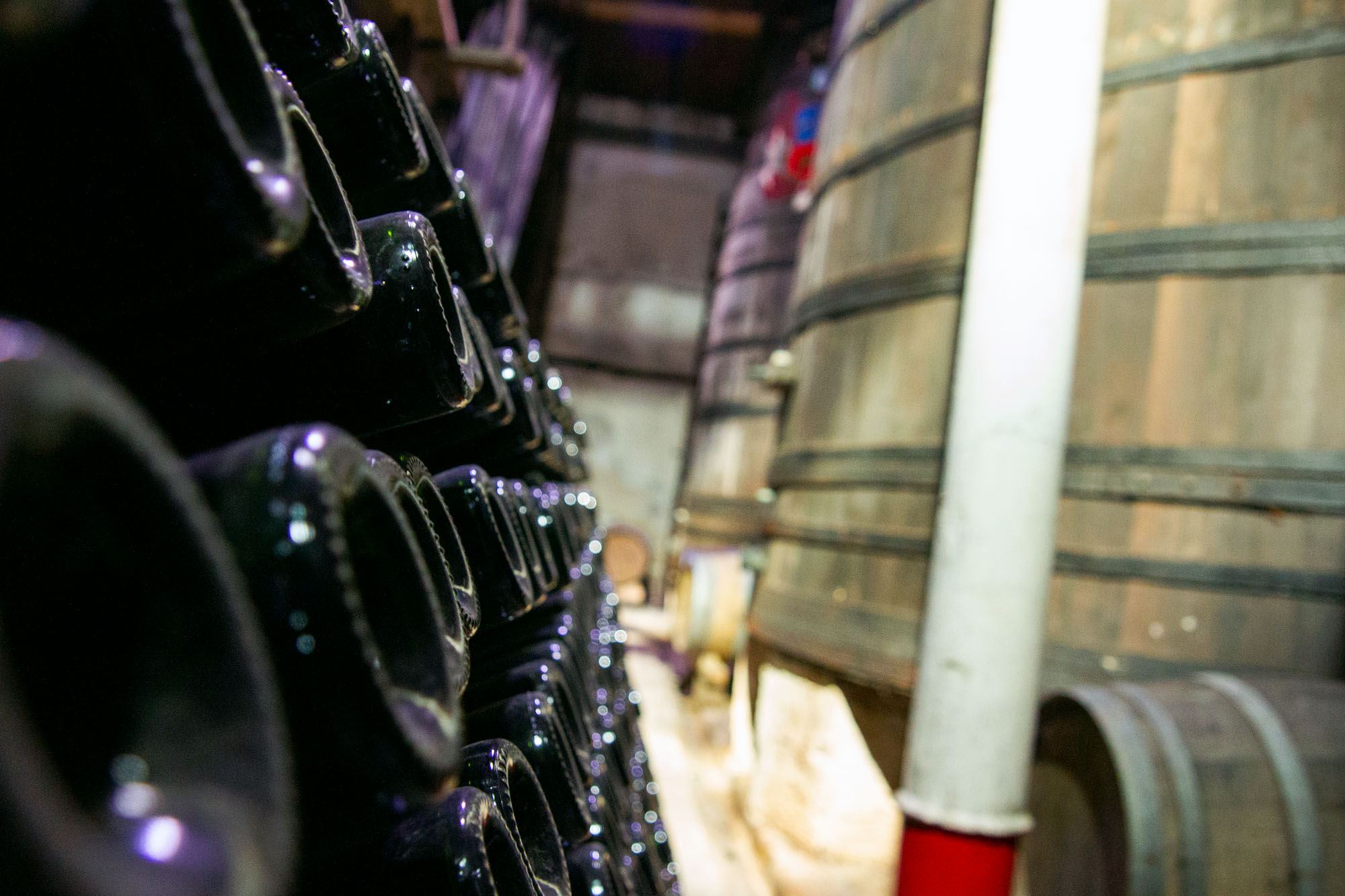 Cider Bottle Cellar Stock Photo