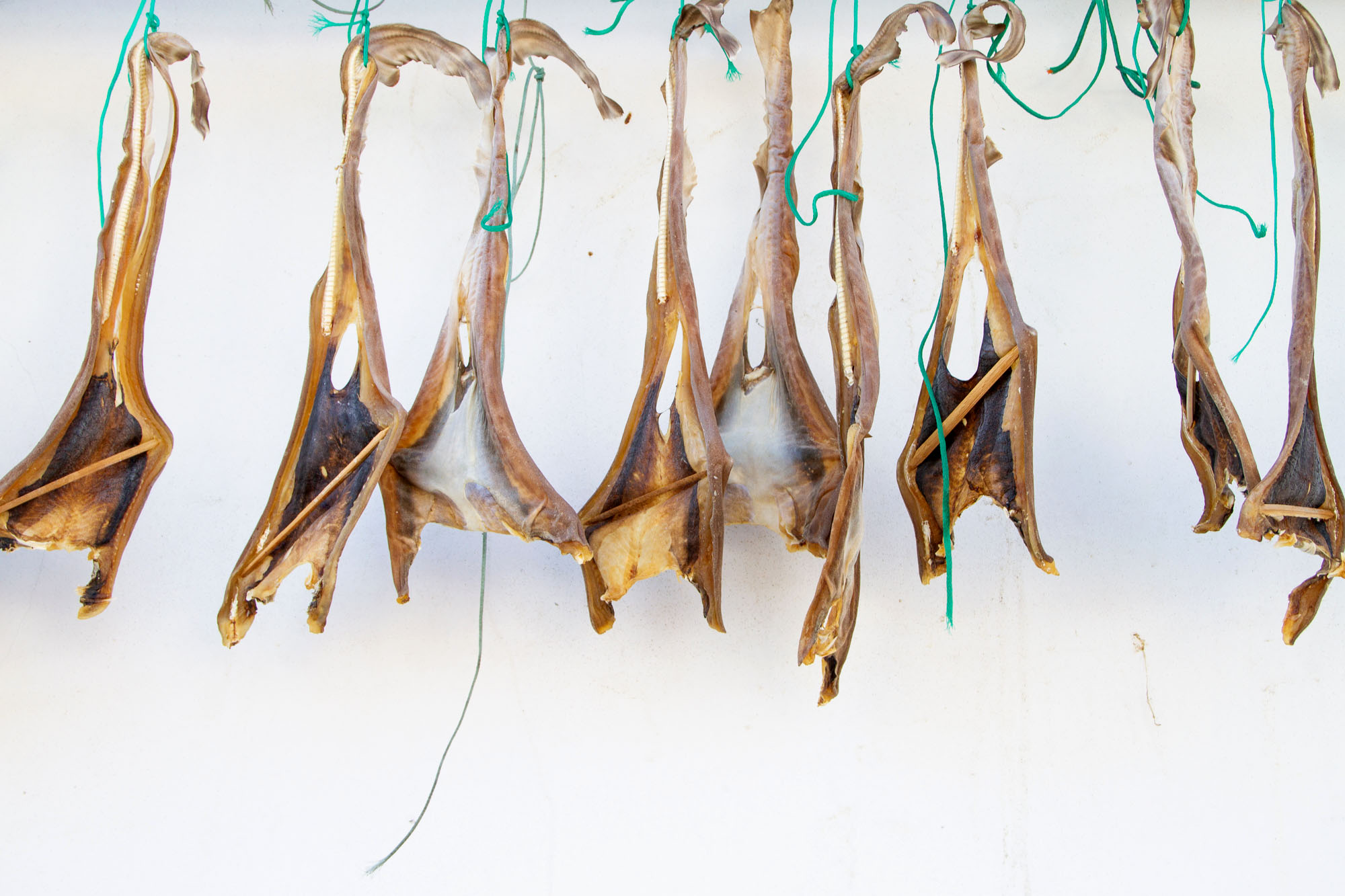 Dried Fish Cudillero Asturias Spain