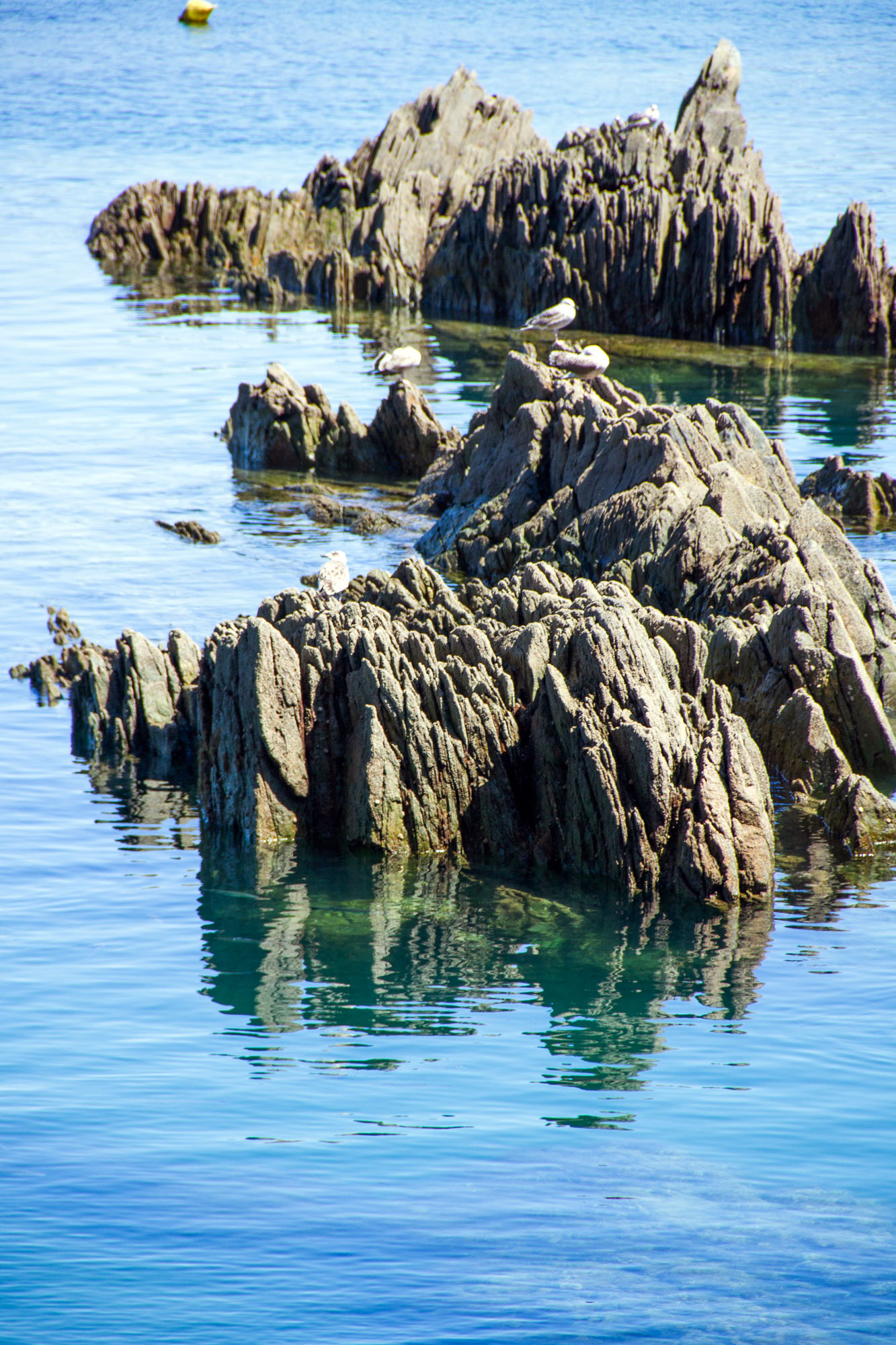 Cudillero Rocks