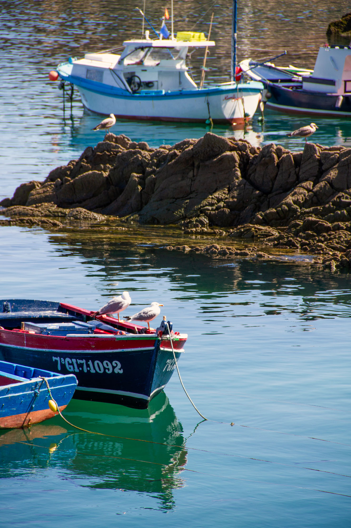 Boat Seagulls Cudillero