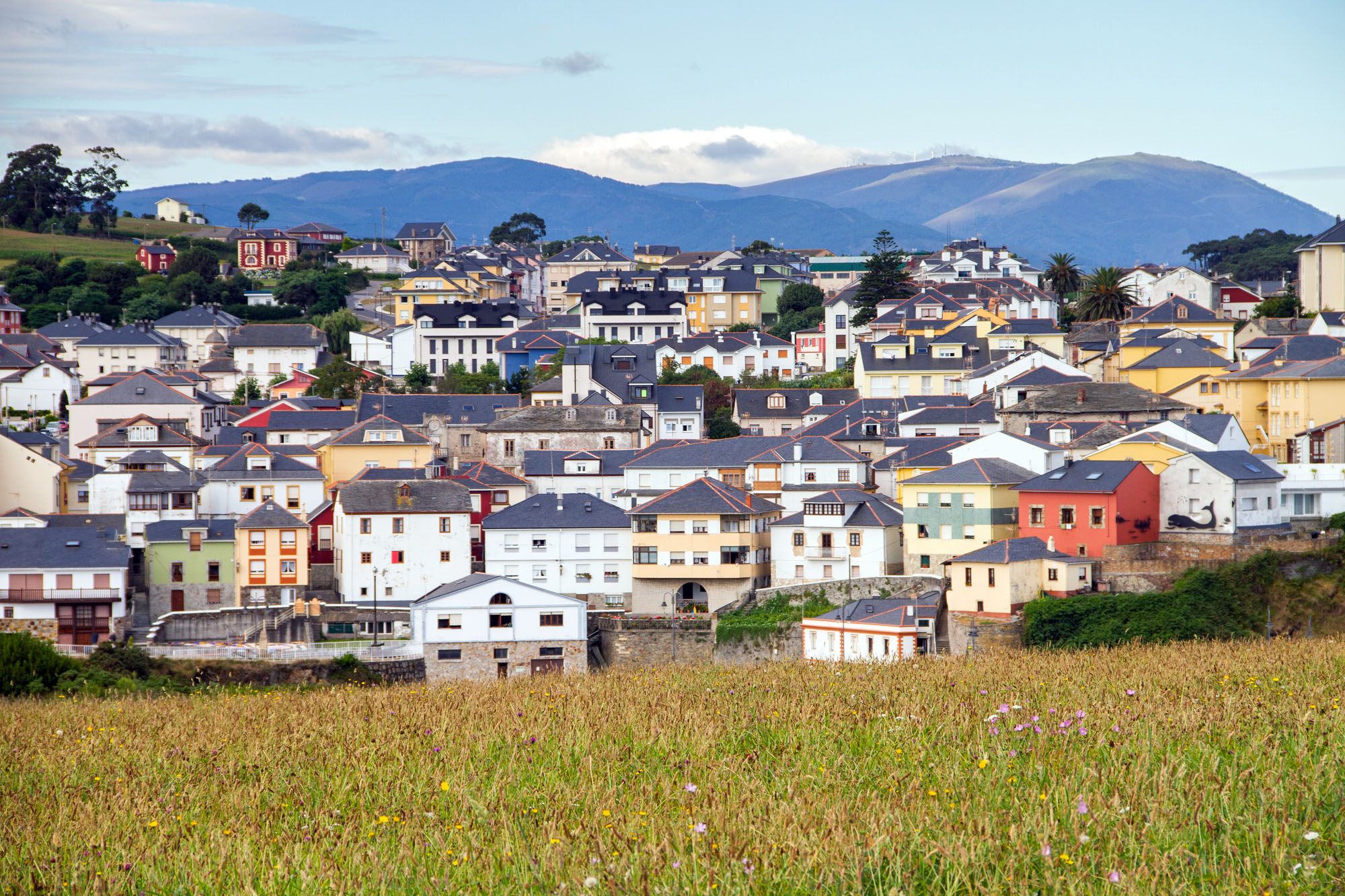 Town Photos Vega Asturias