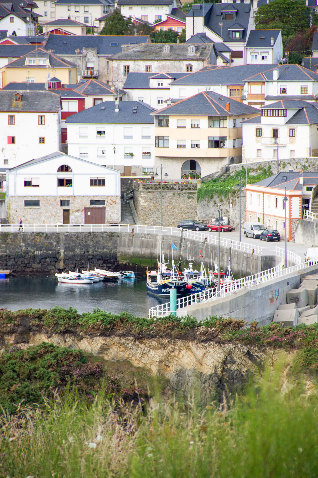 License Vega Asturias Photos with boats