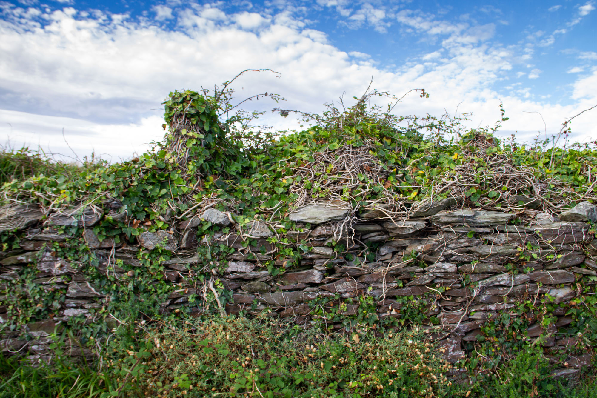 Old Stone Wall Asturias