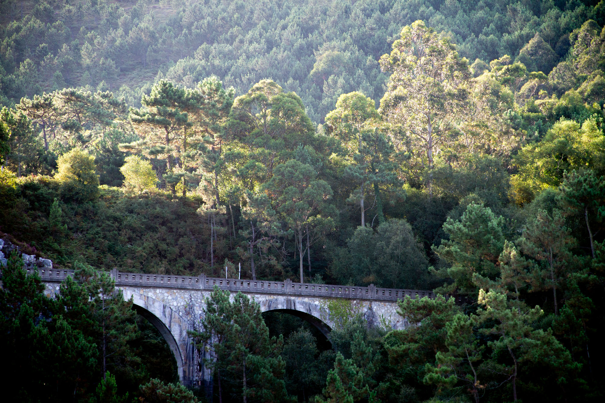 Stone Bridge Asturias