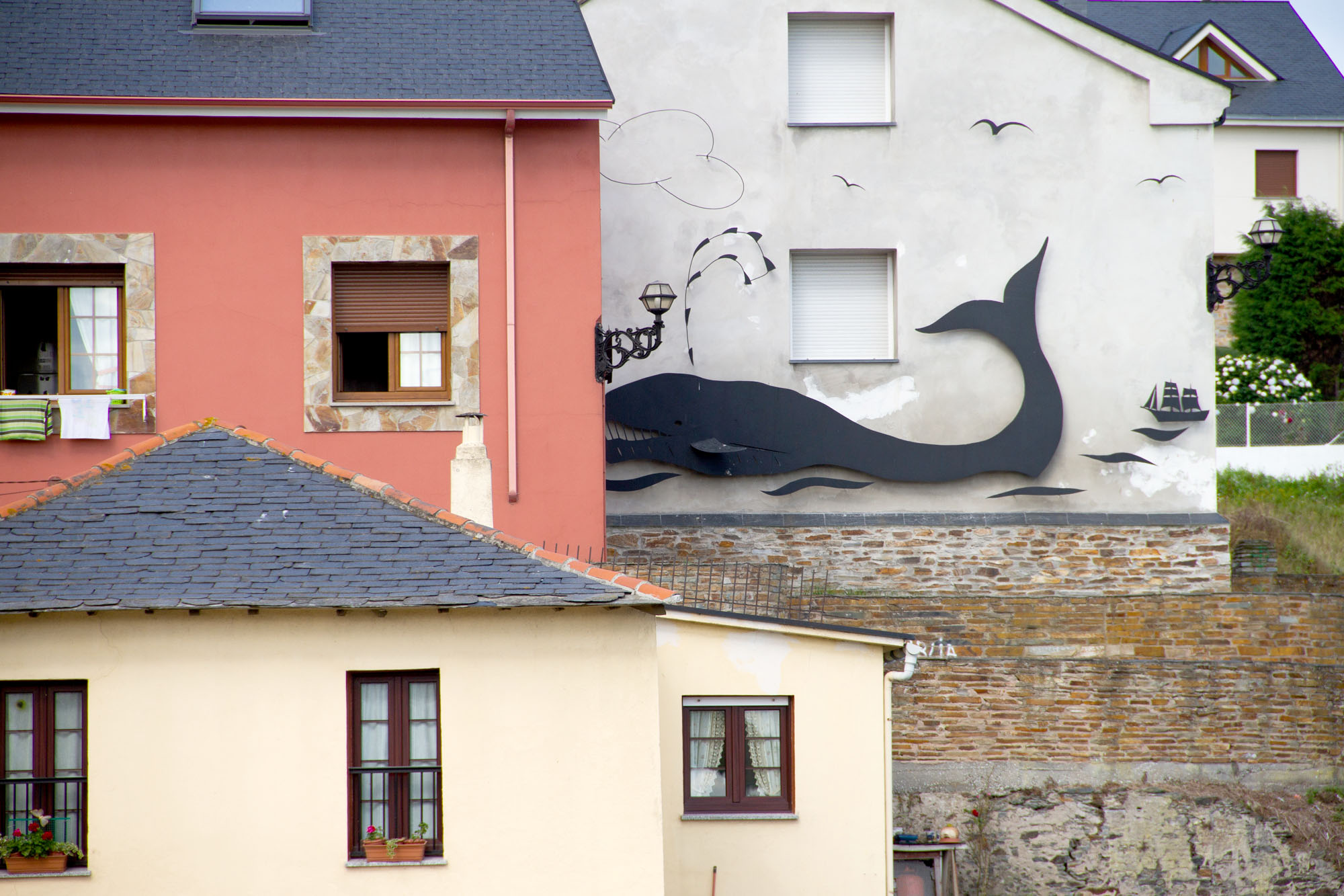 Whale Wall Art