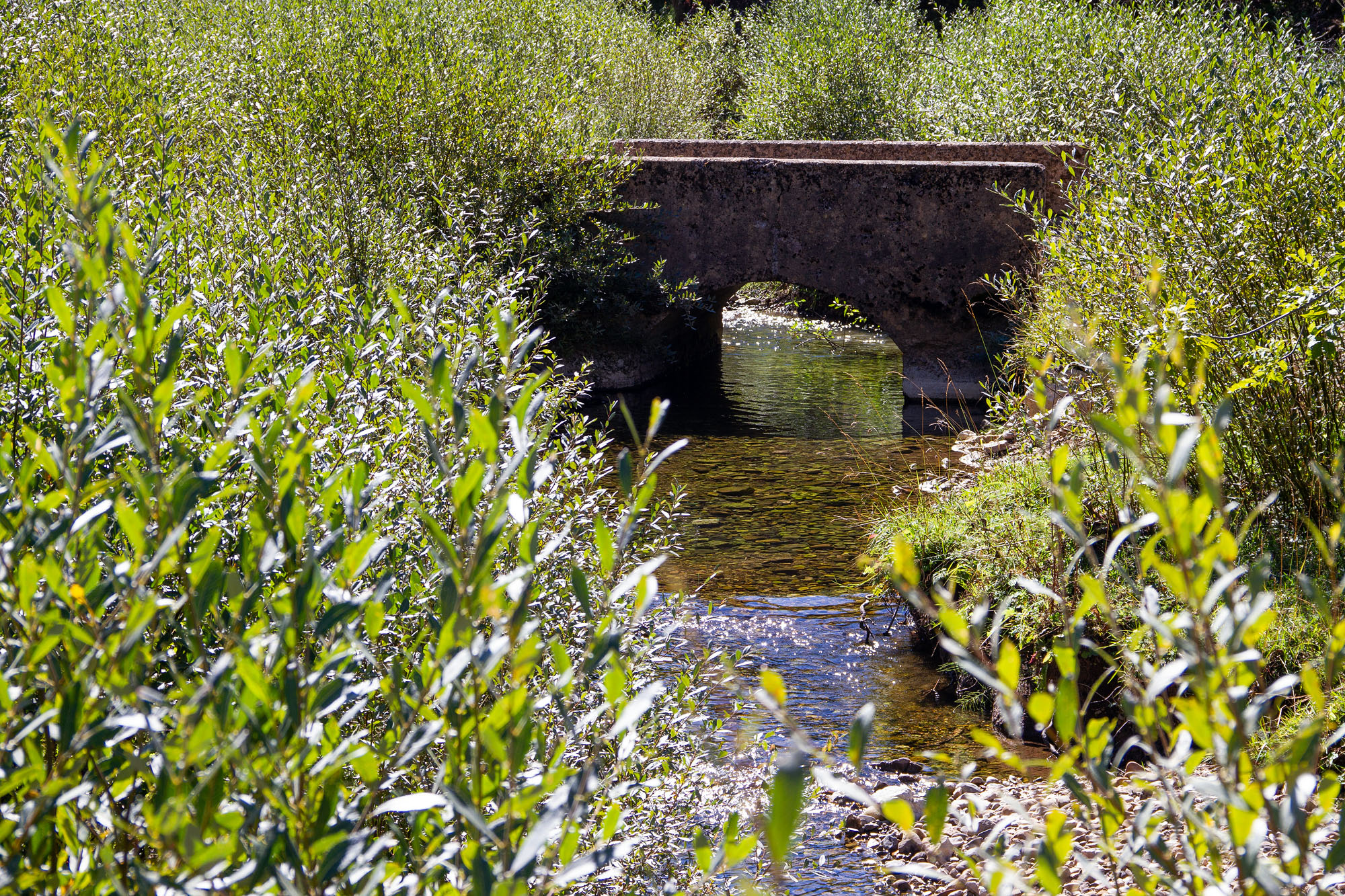 Smiedo Stone Bridge Asturias