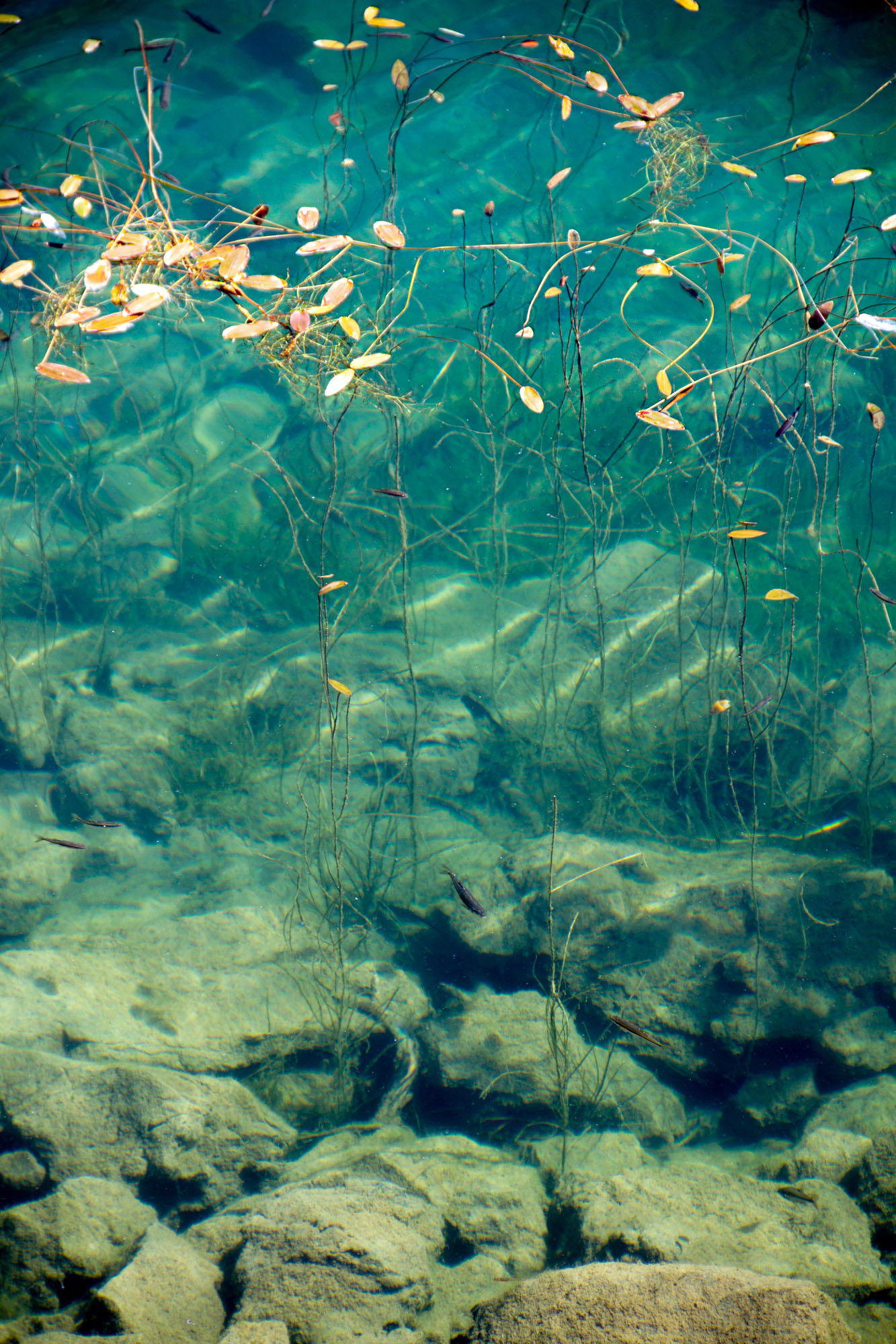 Clear water Asturias