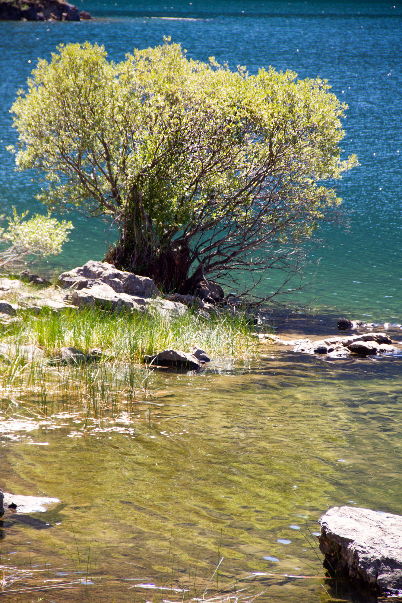 Nature Asturias photos