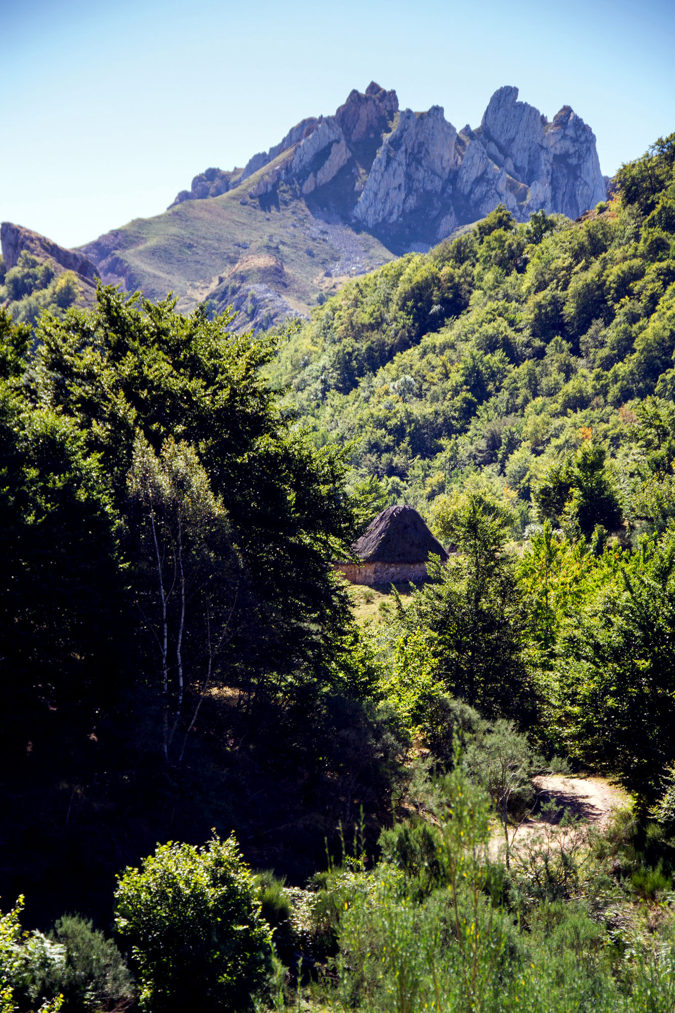 Somiedo traditional hut with landscape