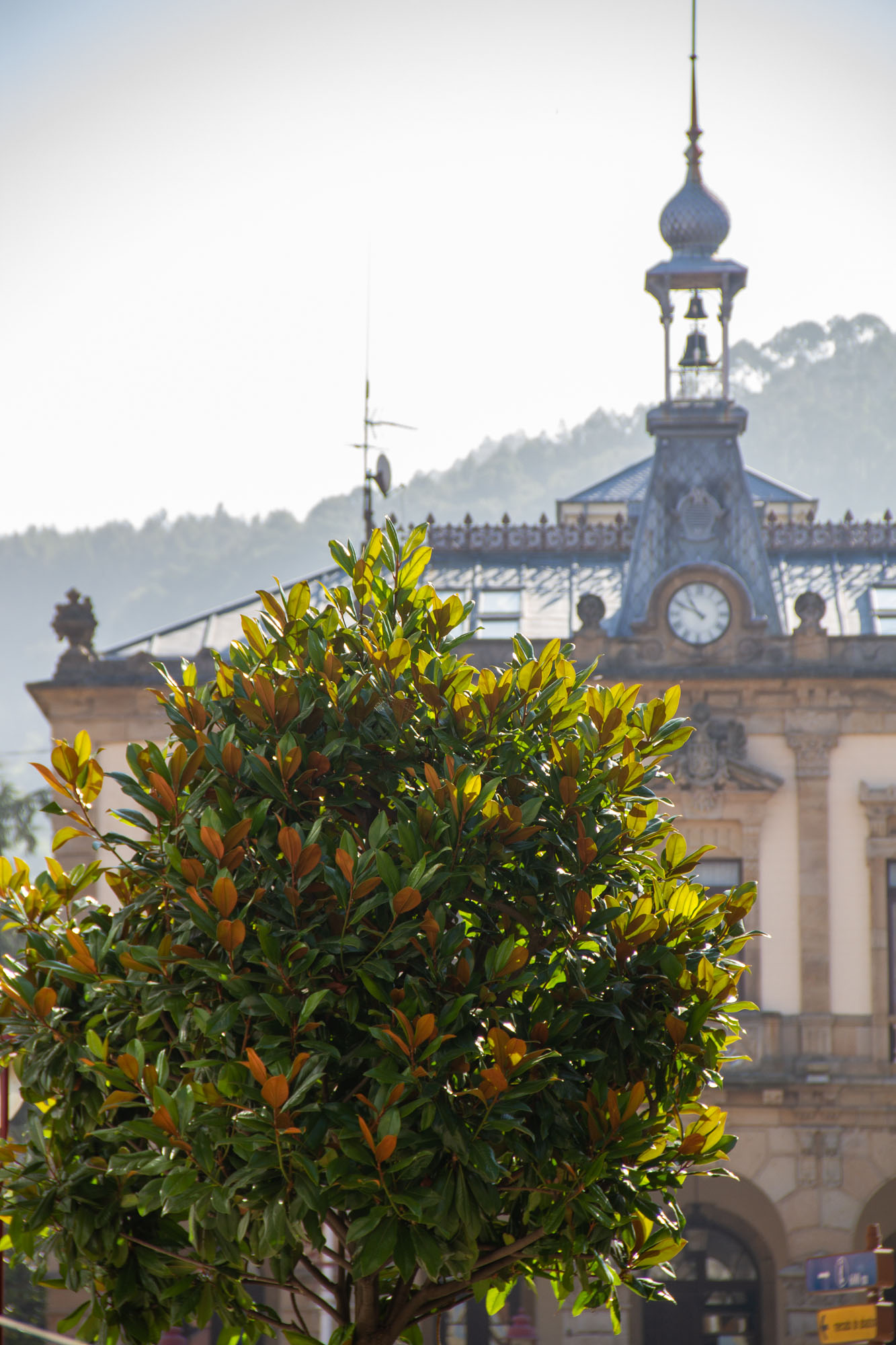 Villaviciosa Ayuntamiento