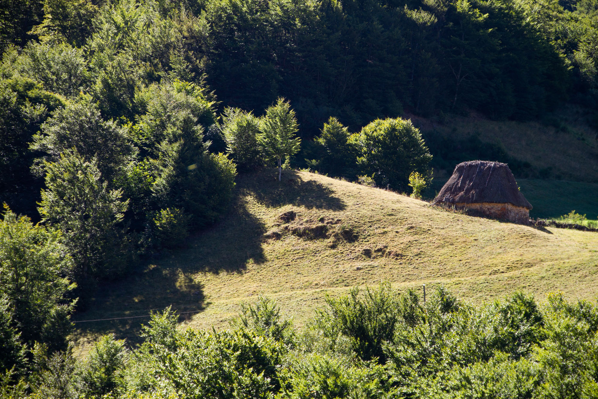 Hidden Somiedo stone hut