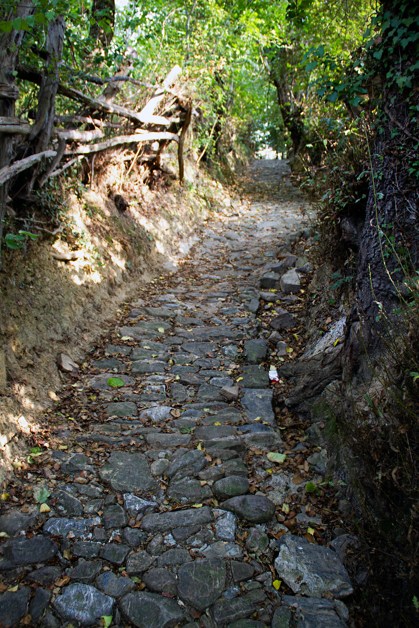 Hiking Oviedo Lena Church