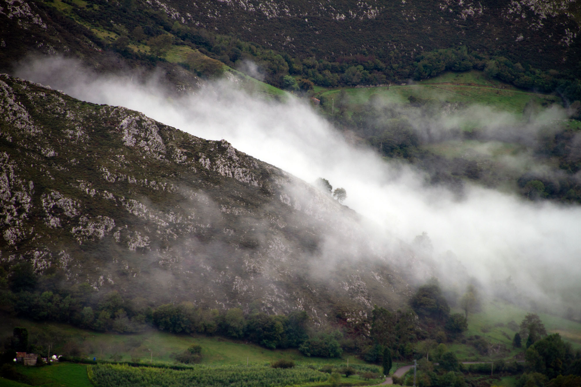 Fog in Asturias