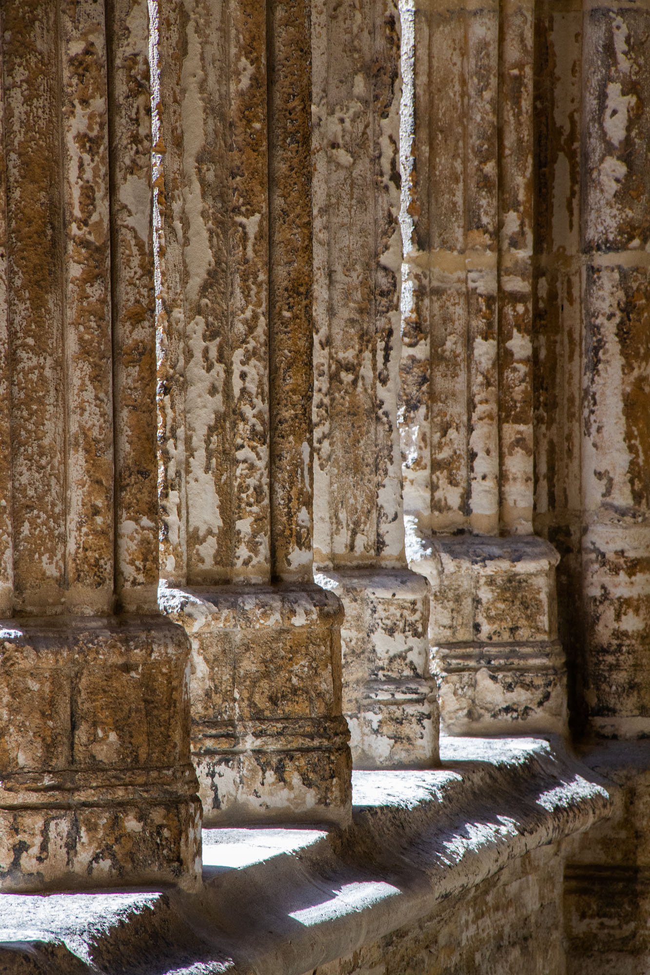 Cloister Columns