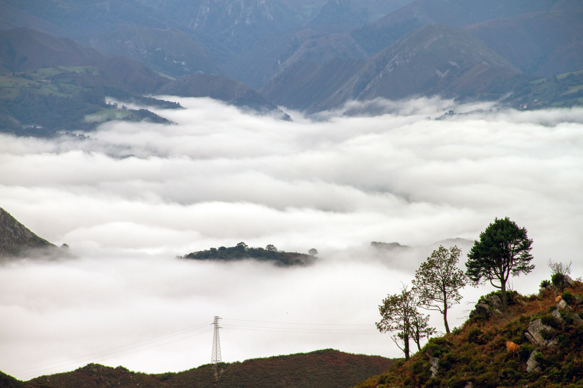 Cloud Island Asturias