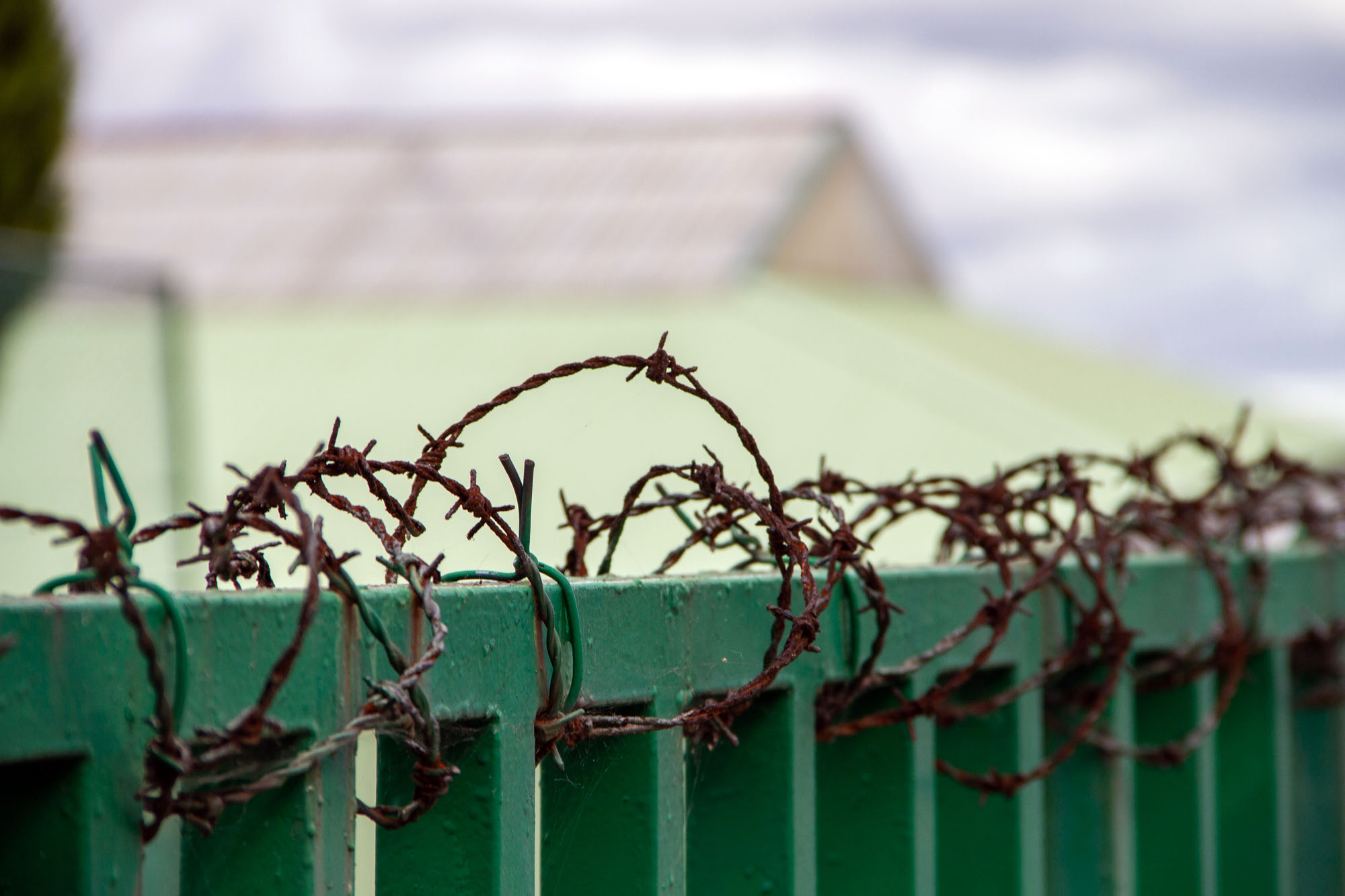 Oviedo Barbwire 