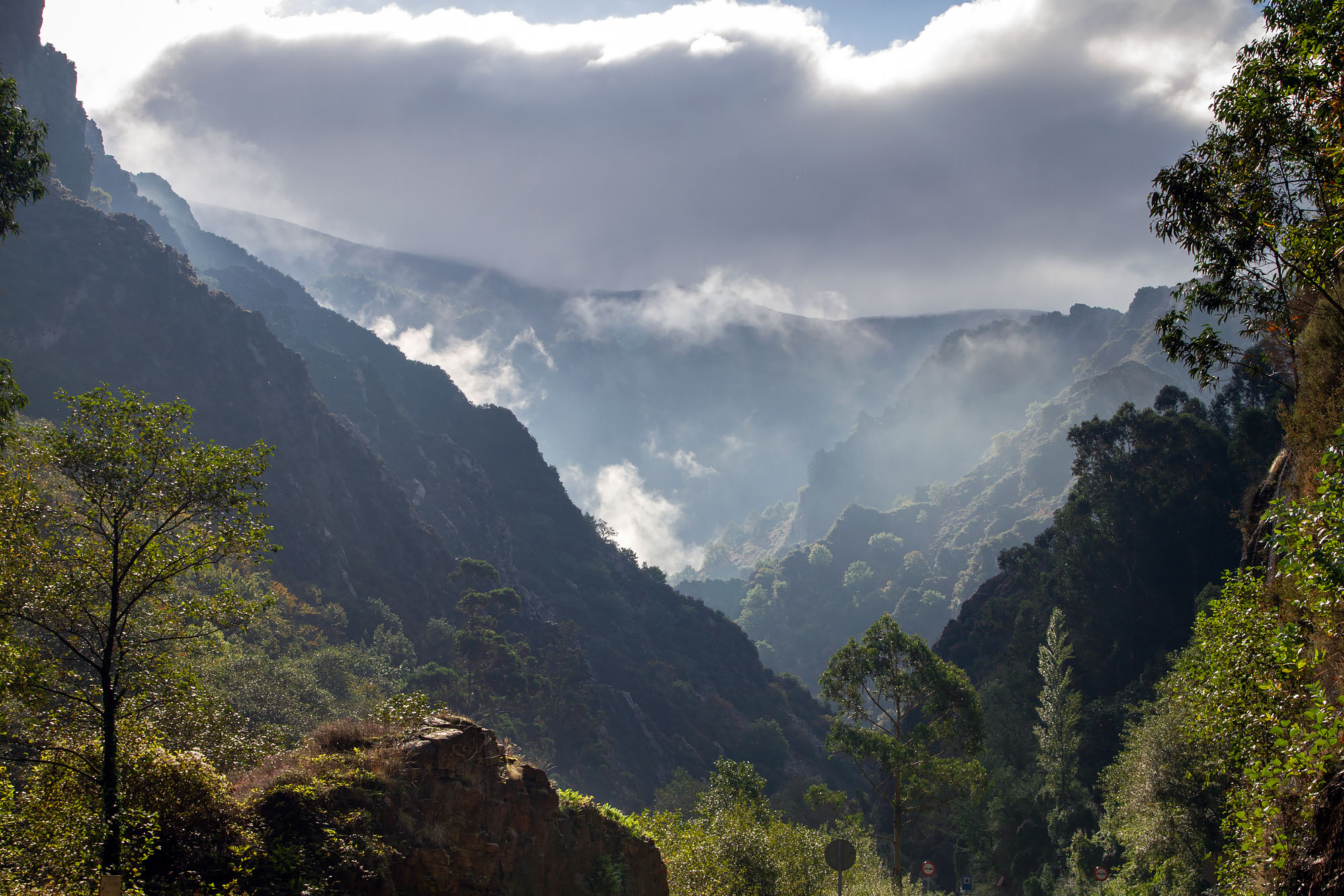 Western Asturias