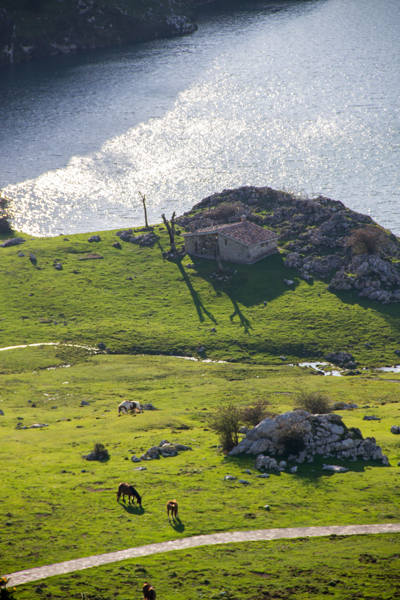 Lakes of Covadonga