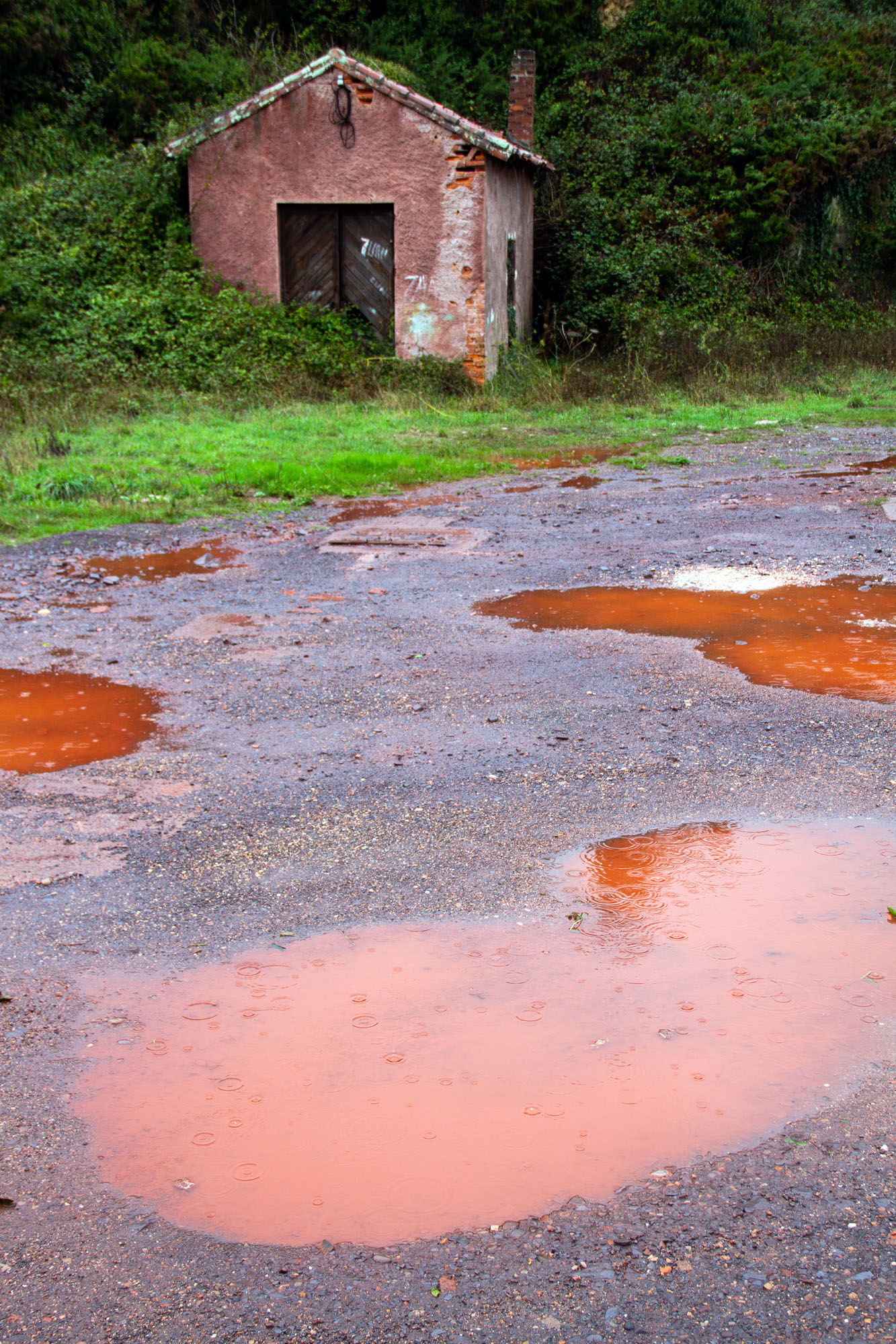 Red water in puddles