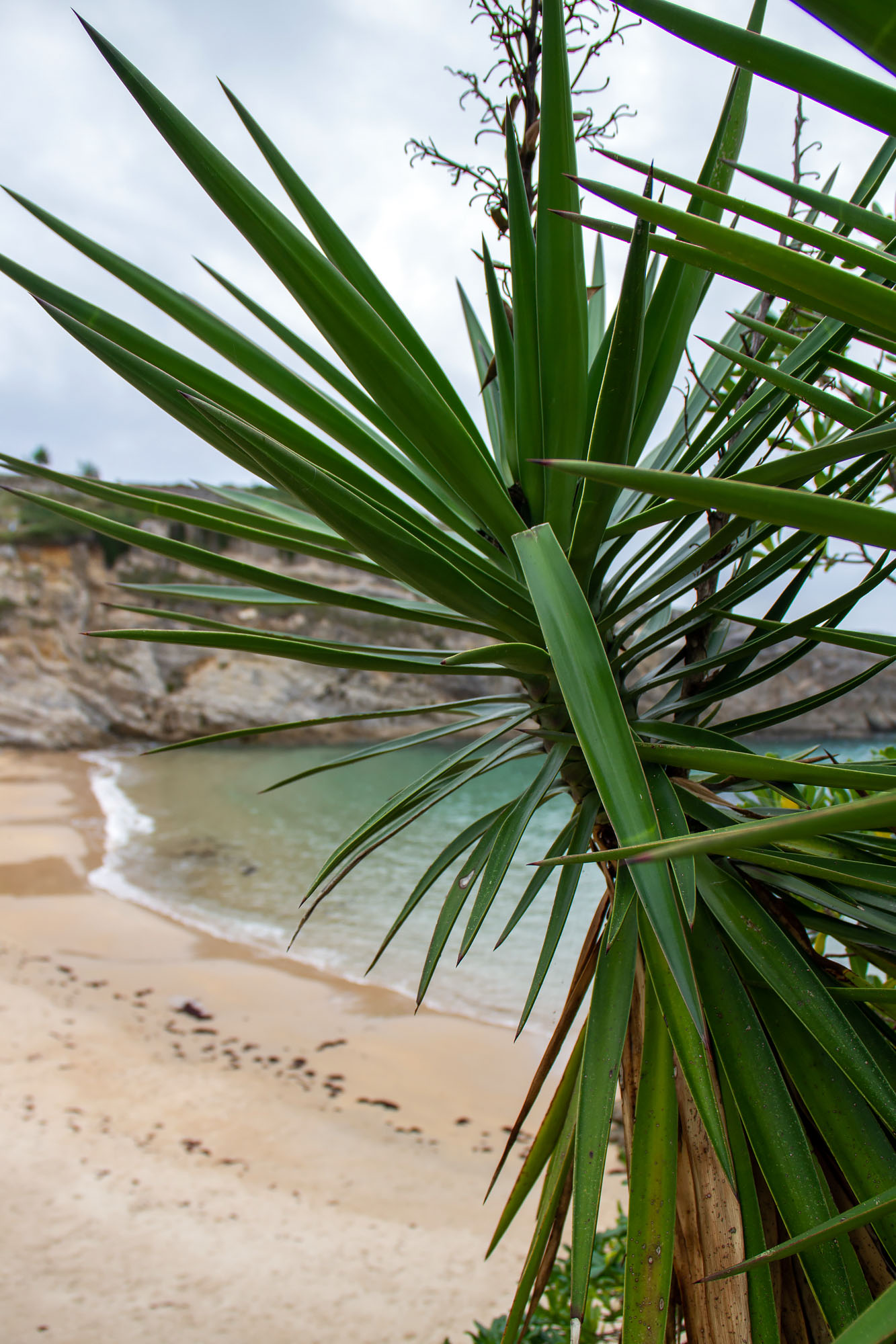 Llanes city beach