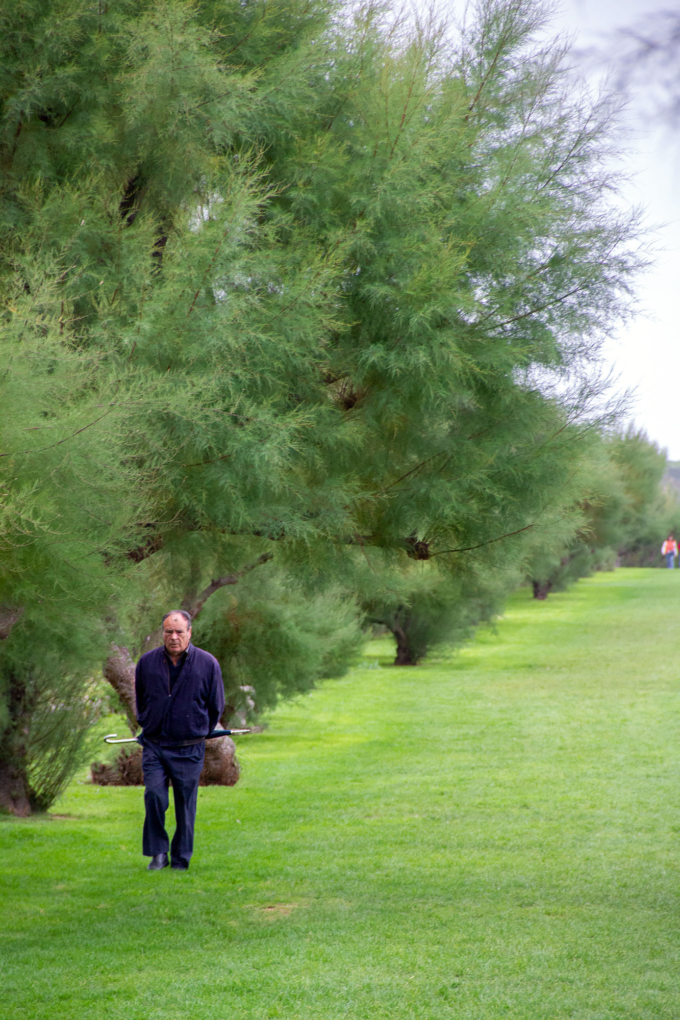 Going for a walk Llanes Asturias