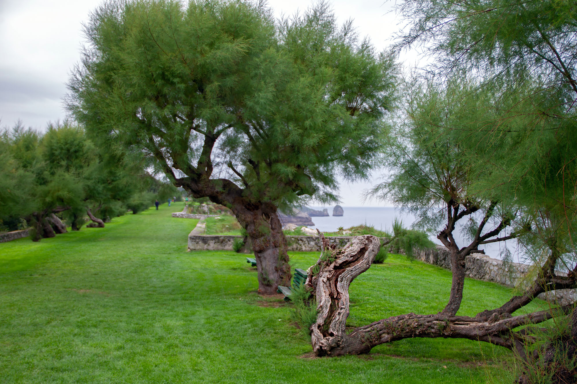 Coast park Llanes Asturias