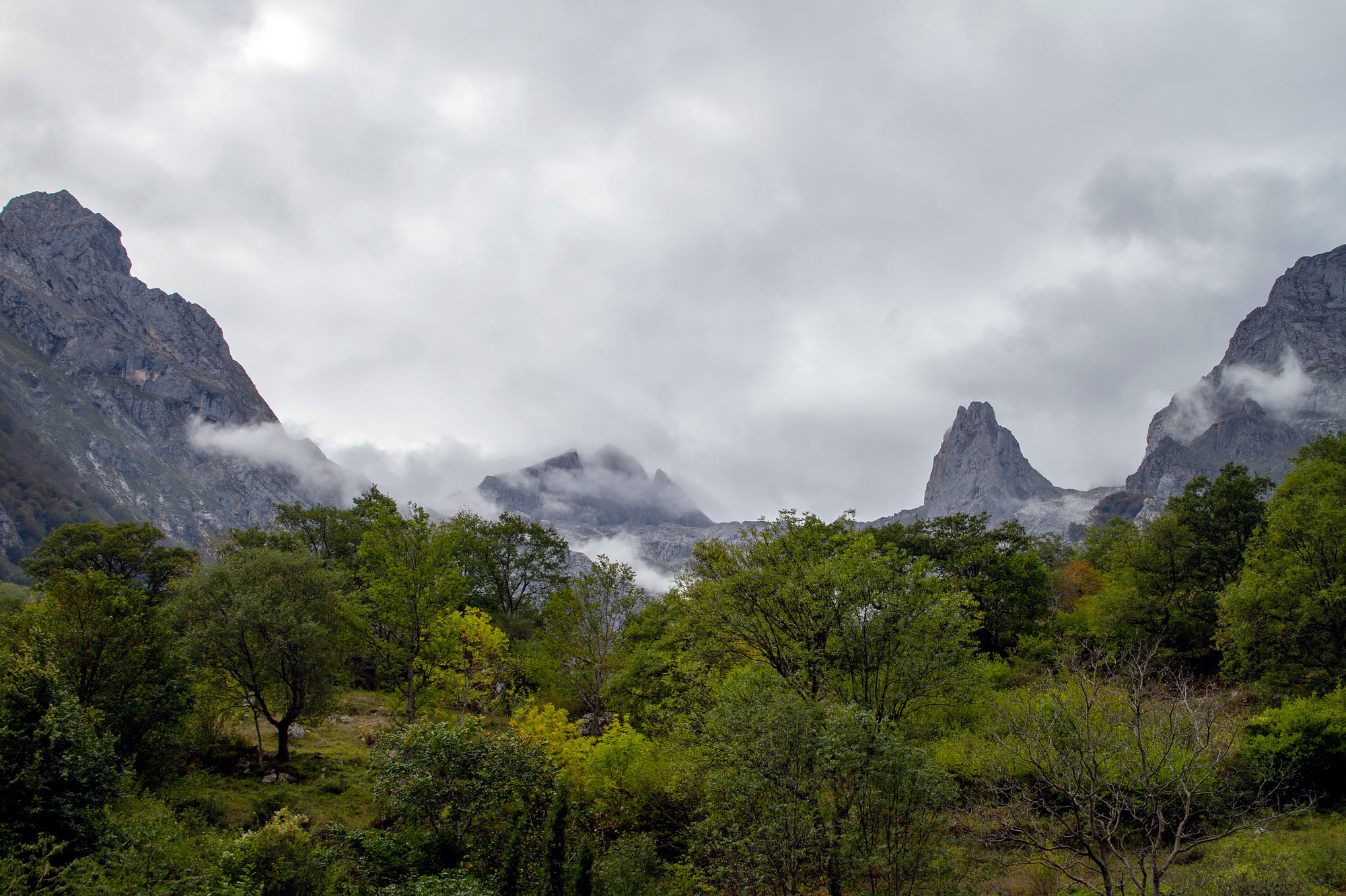 Picos de Europa Landscapes