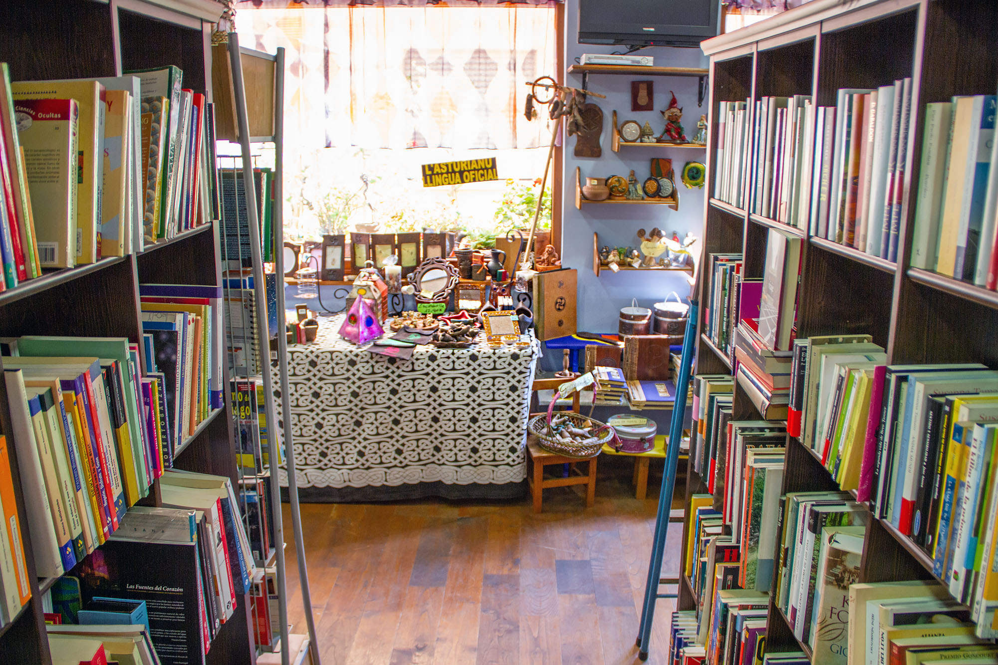 Read more about the article Asturian Bookstore Paraxuga