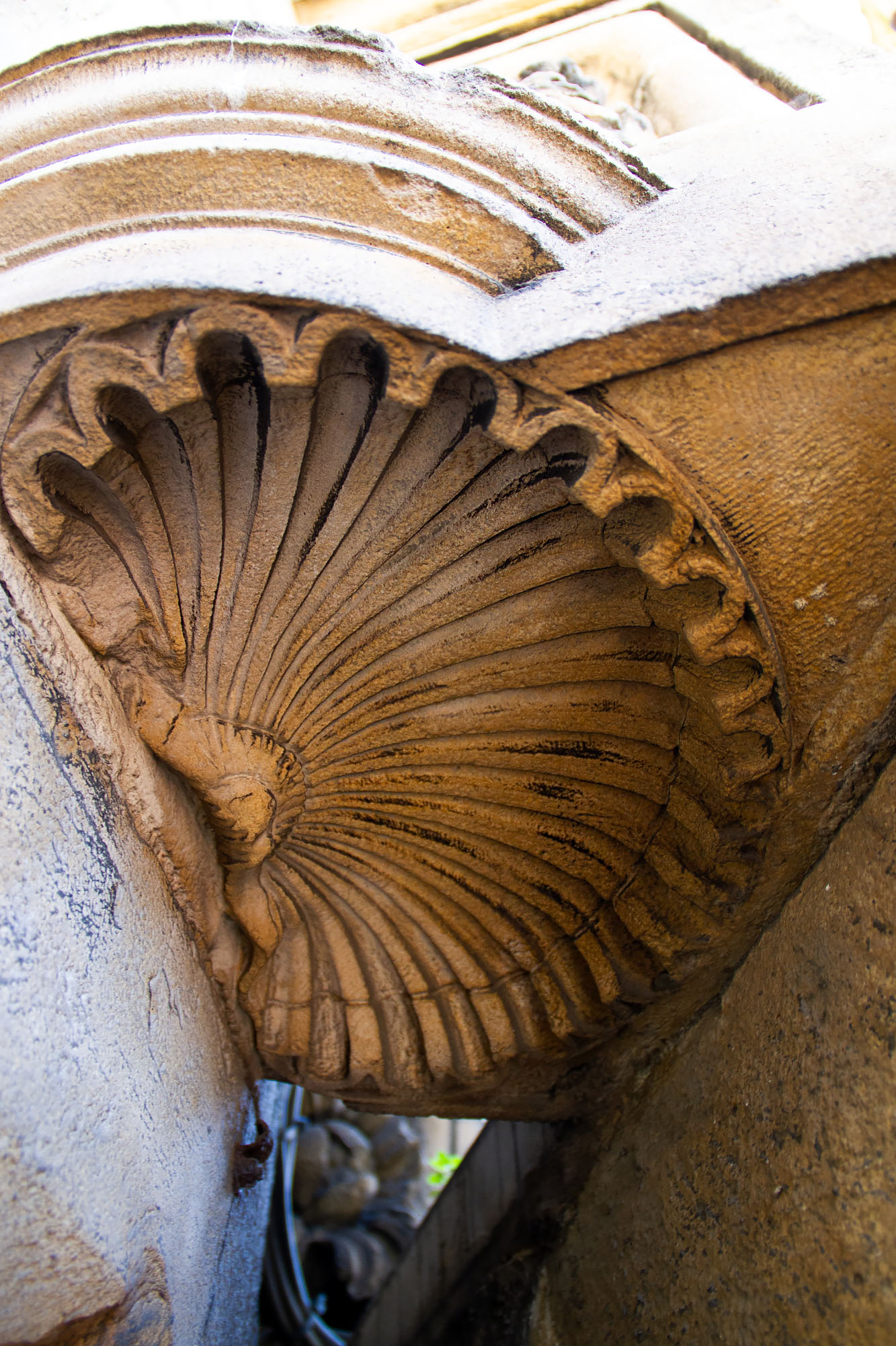 Giant Shell Camino de Santiago