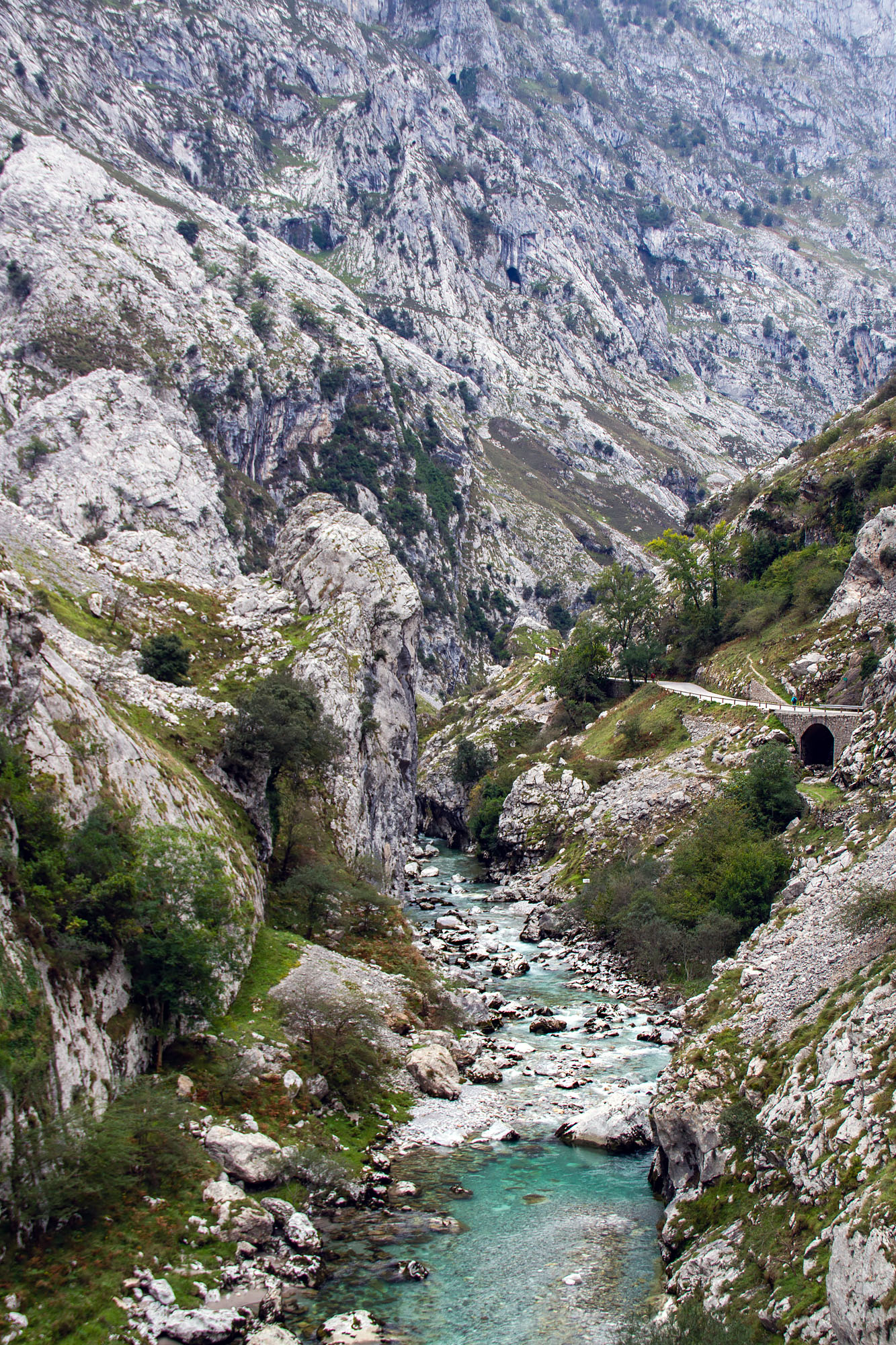 Rivers in Asturias
