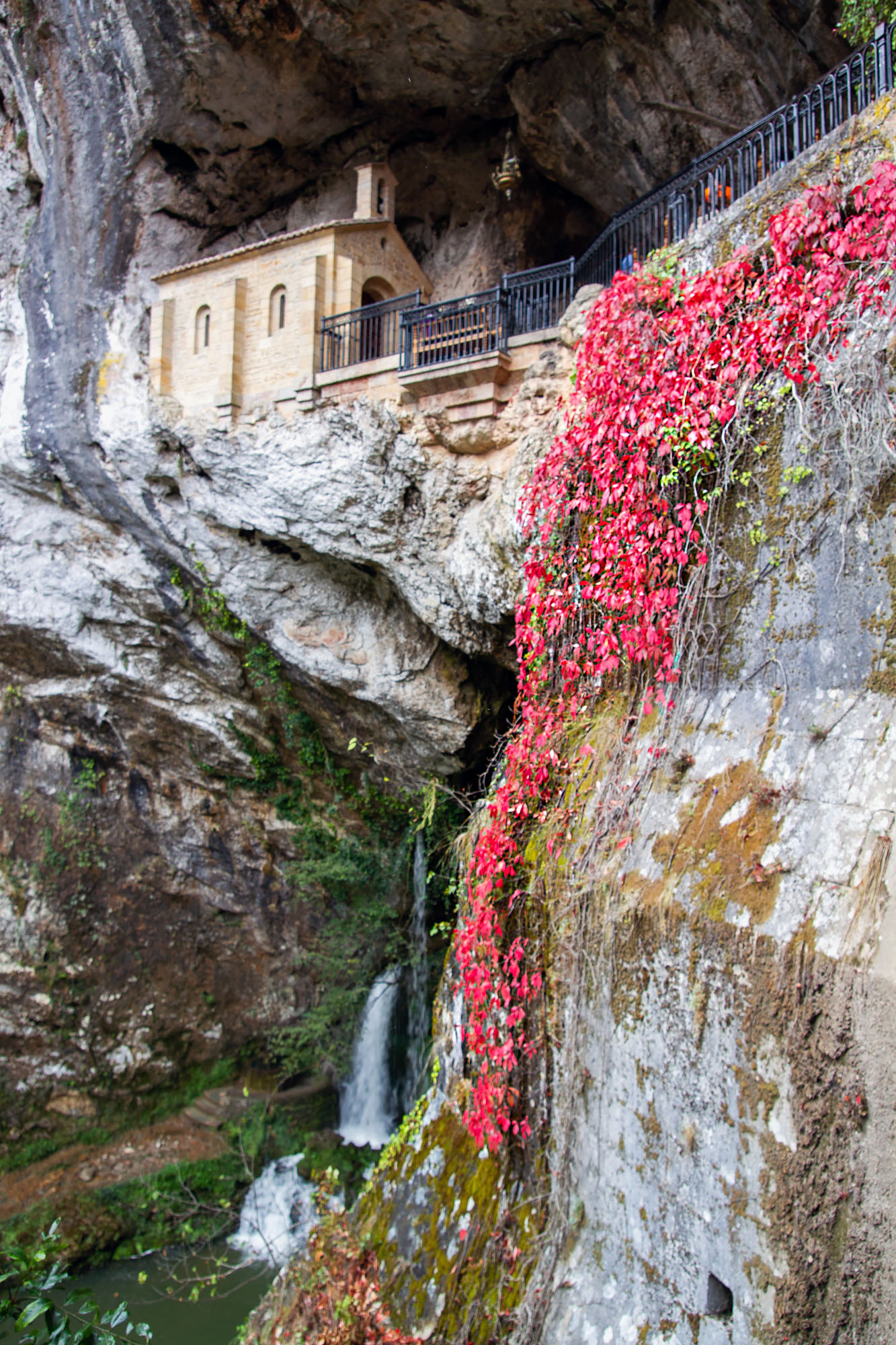 Covadonga plants of fire