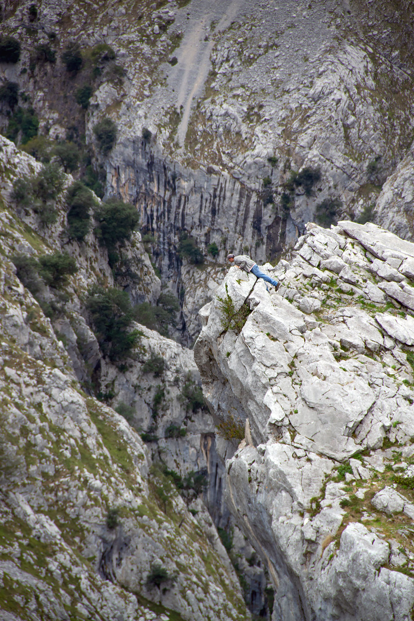 Picos de Europa Viewpoint