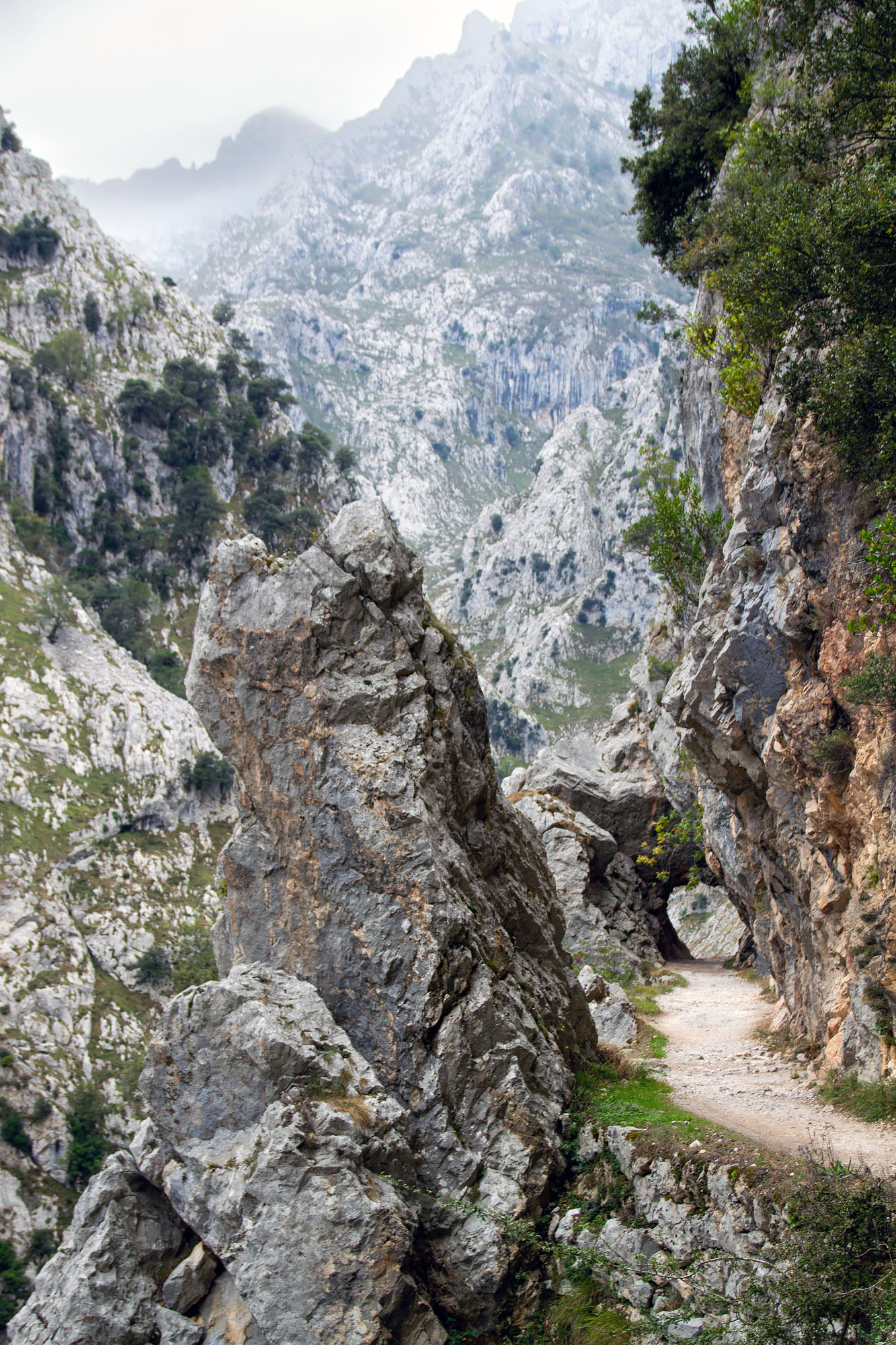 Tunnel Hike Picos de Europe